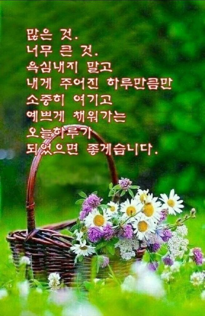 IMG_2122.jpeg