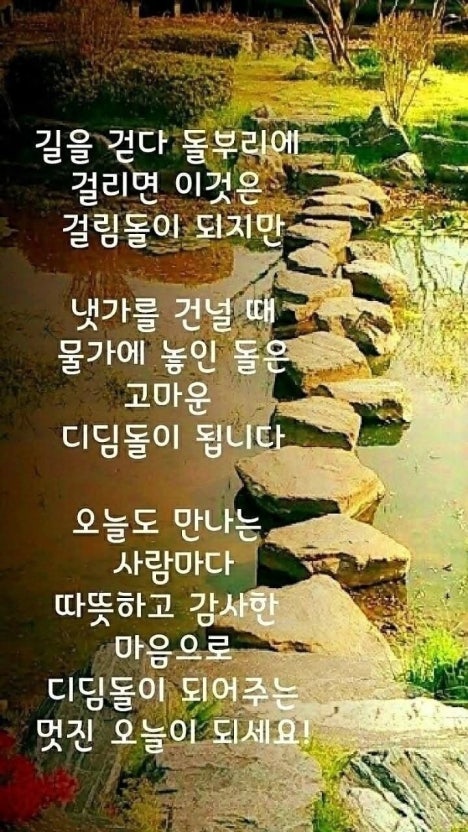 IMG_2130.jpeg
