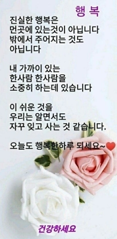 IMG_2205.jpeg