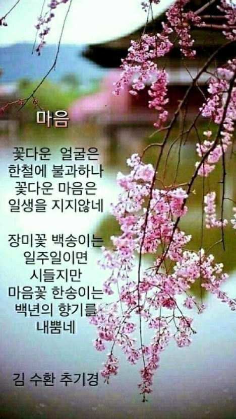 IMG_2215.jpeg