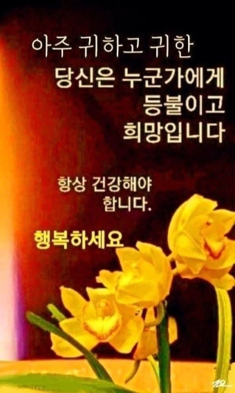 IMG_2256.jpeg