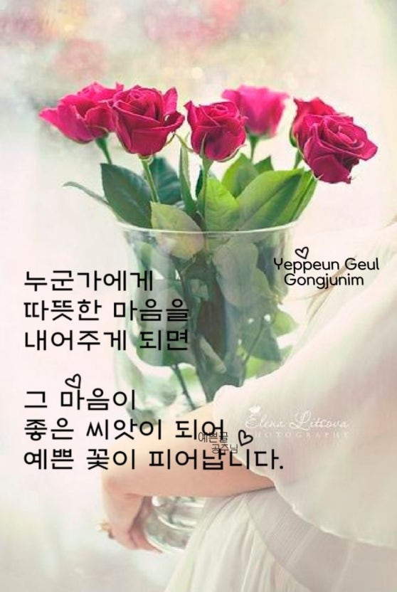 IMG_2265.jpeg