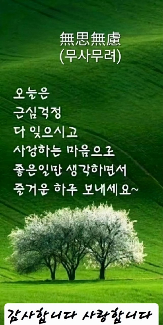 1752620192904.jpg