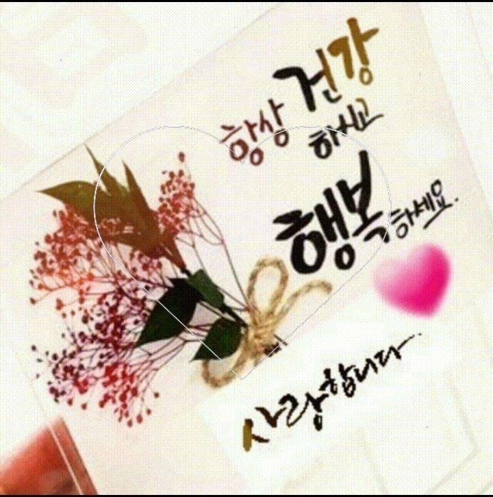 행복한 수요일 사진