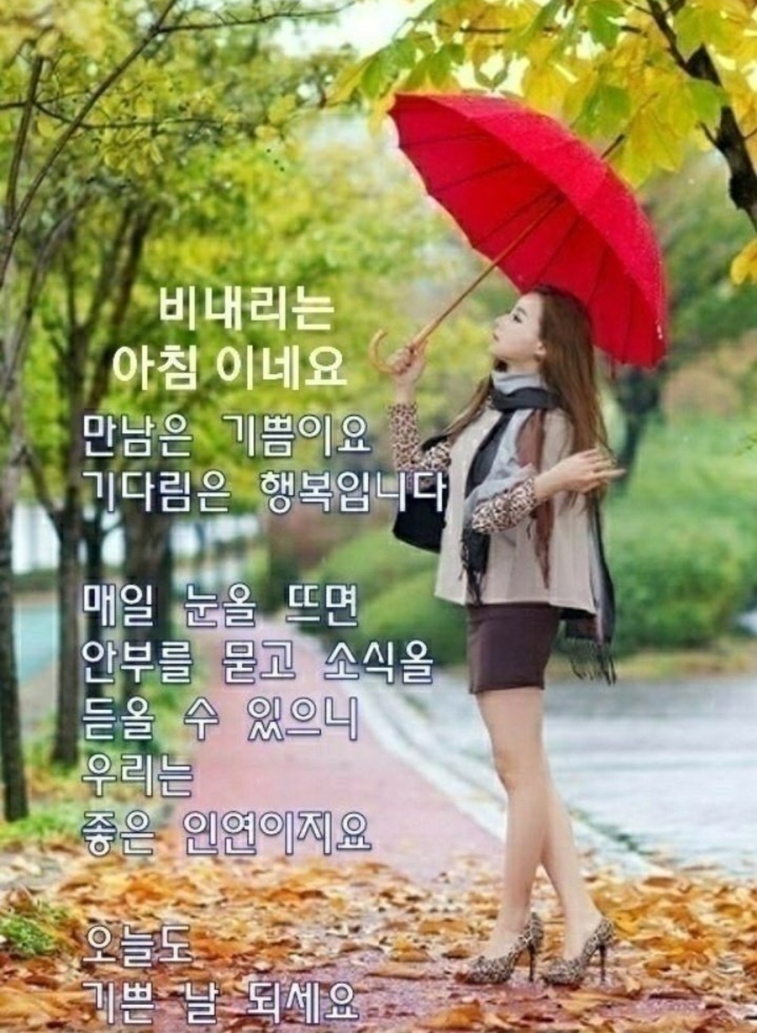 Screenshot_20220802-081022_KakaoStory.jpg