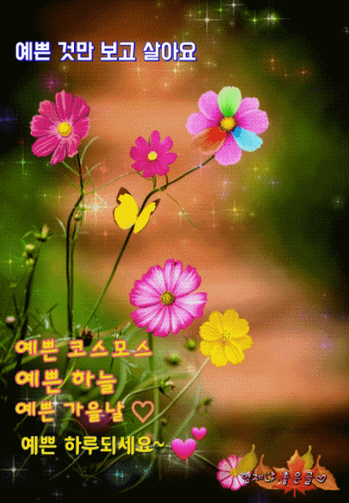 수요일 아침 문 열어봅니다!