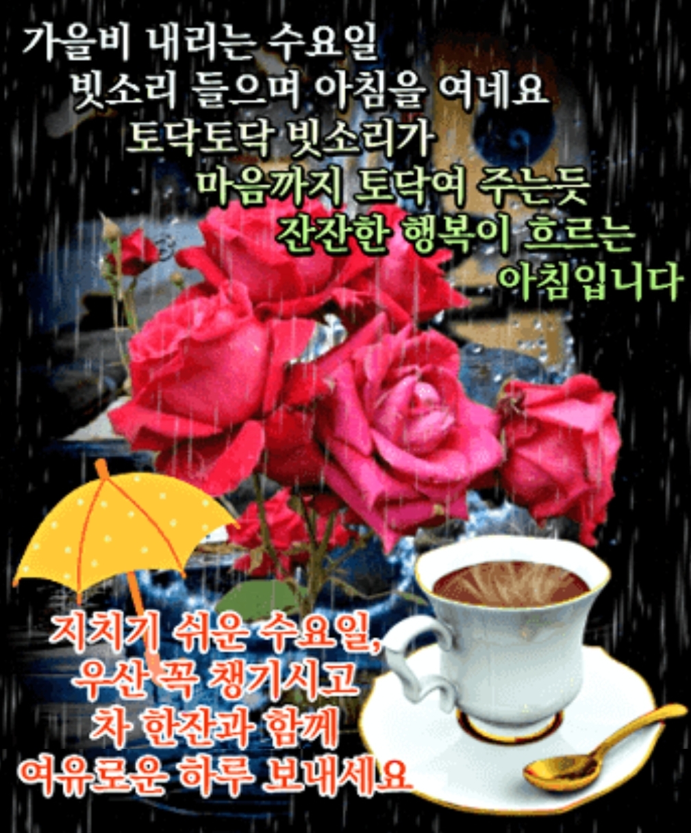가을비 내리는 수요일 입니다.
