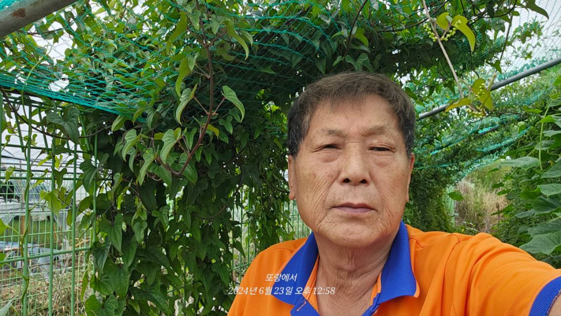 청풍호 가기전에