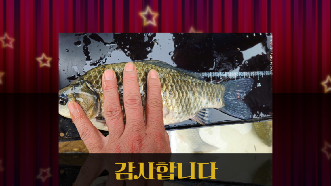 kmc_20250511_183720.png