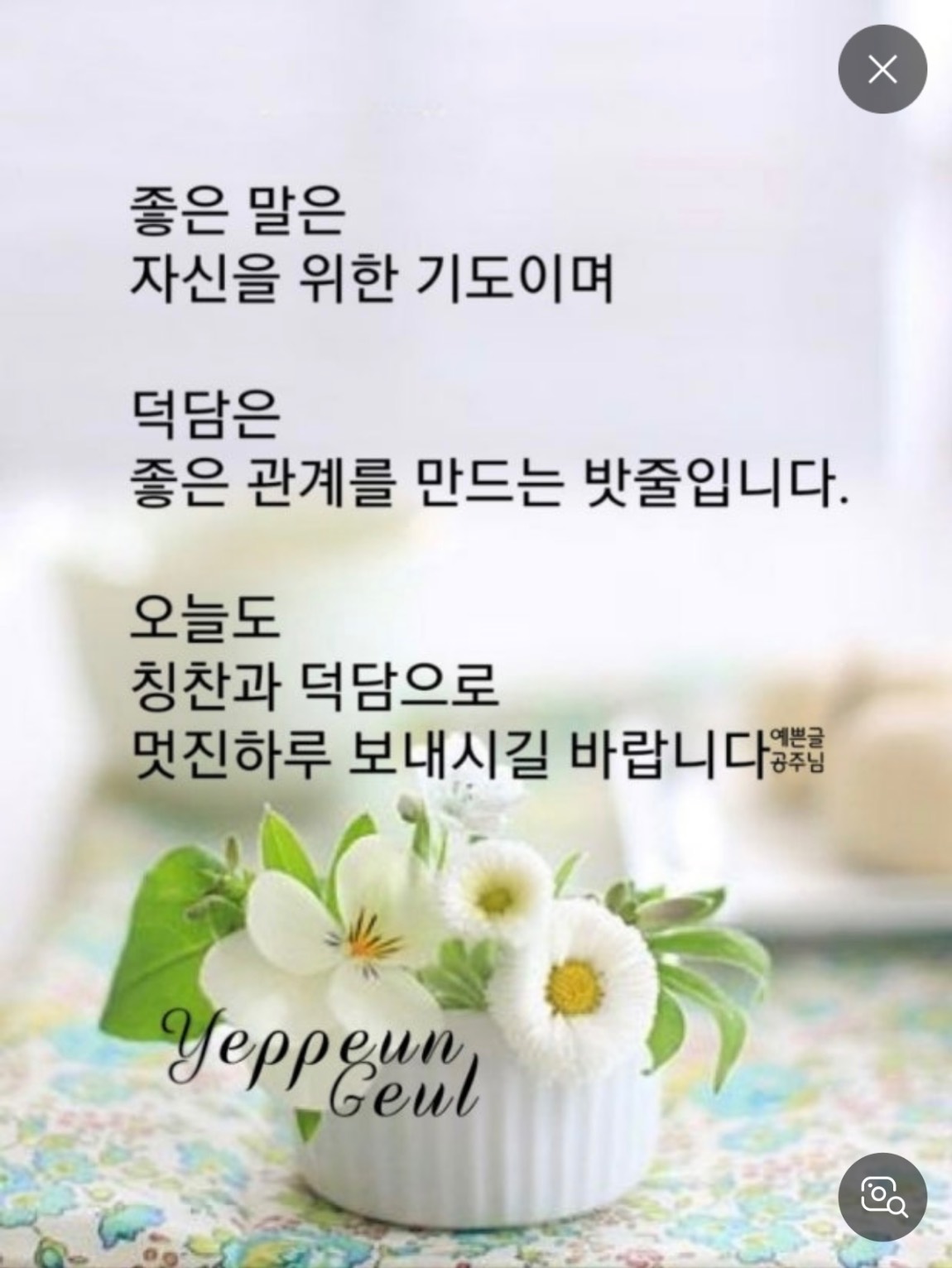 IMG_9429.jpeg