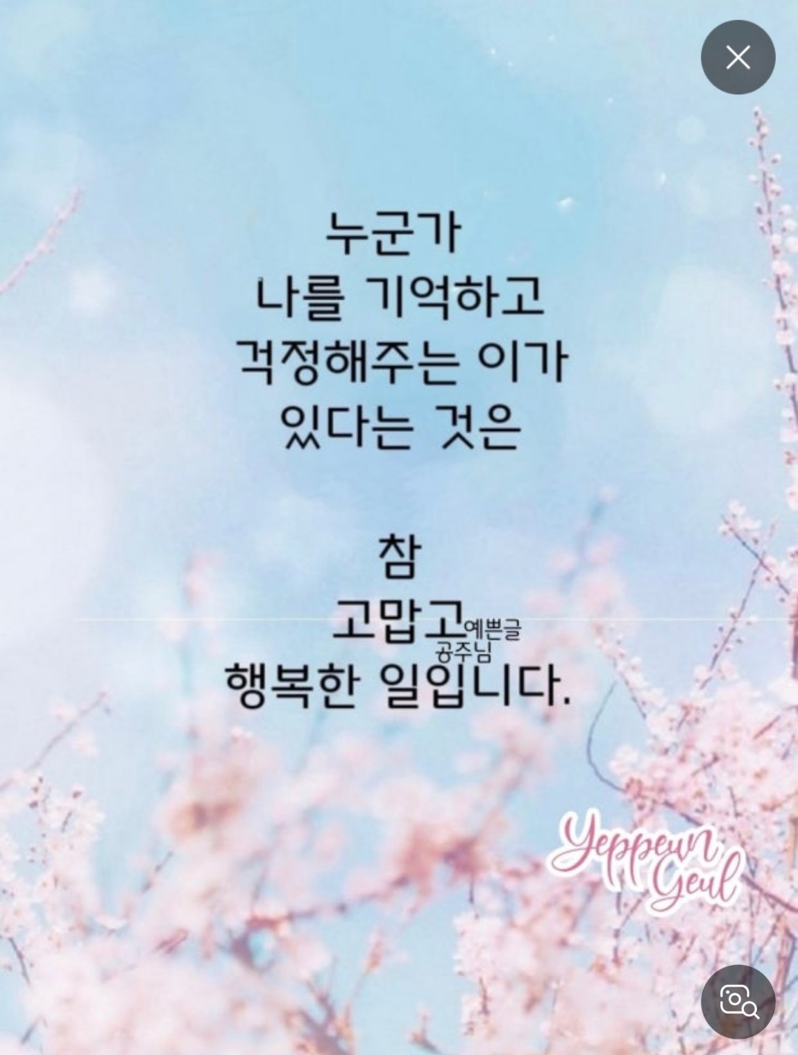 IMG_9528.jpeg
