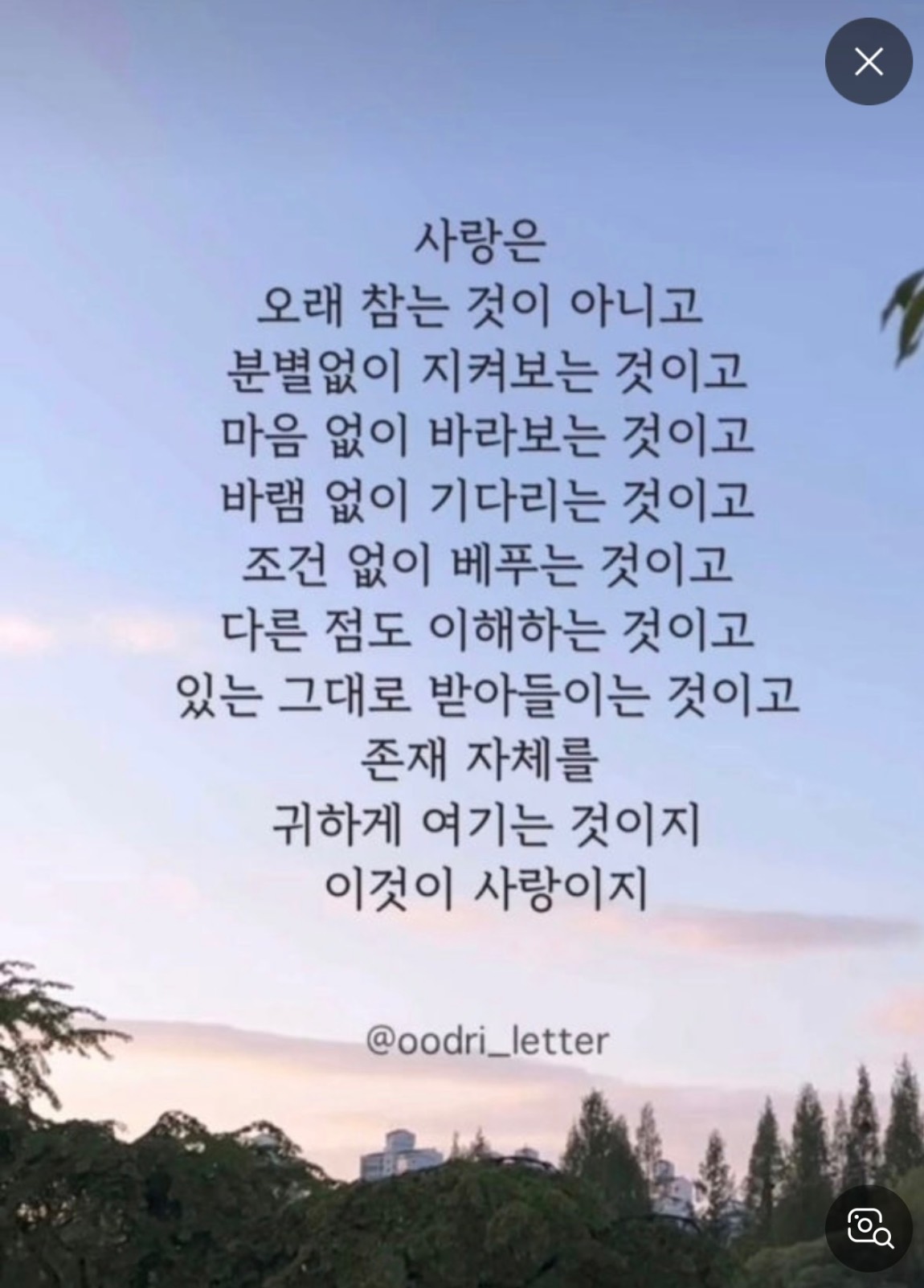 IMG_9855.jpeg