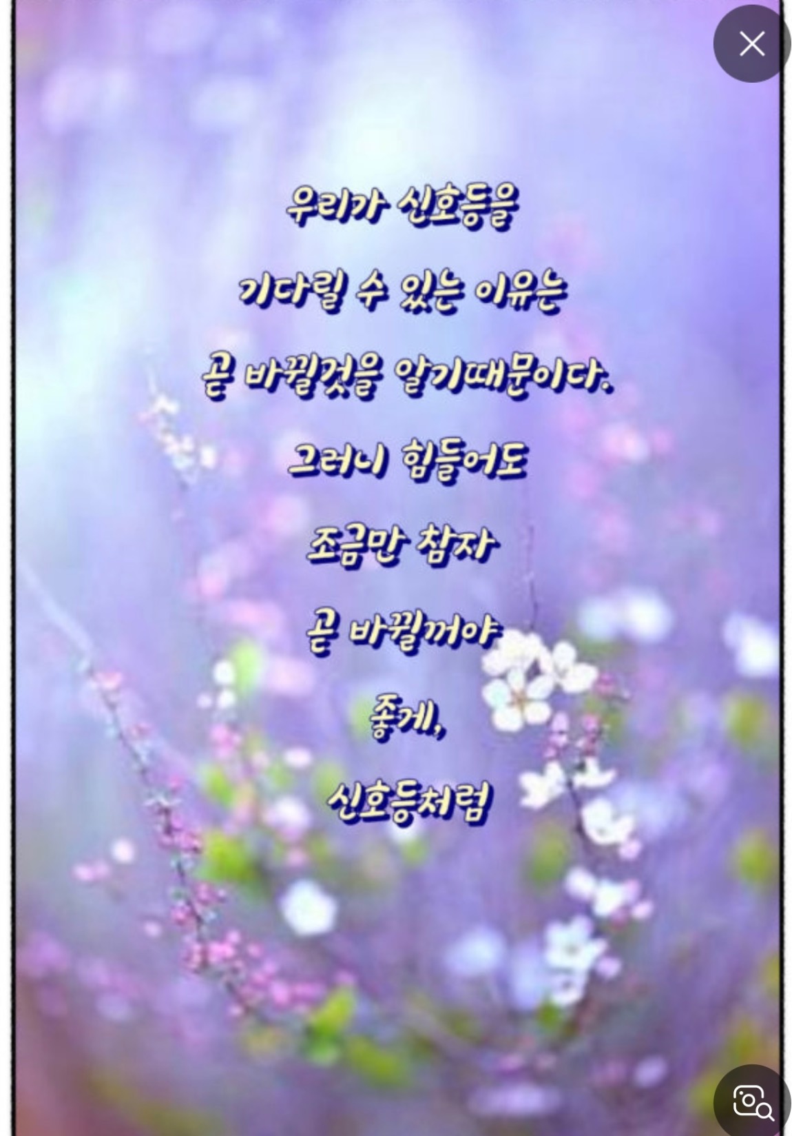 IMG_9875.jpeg