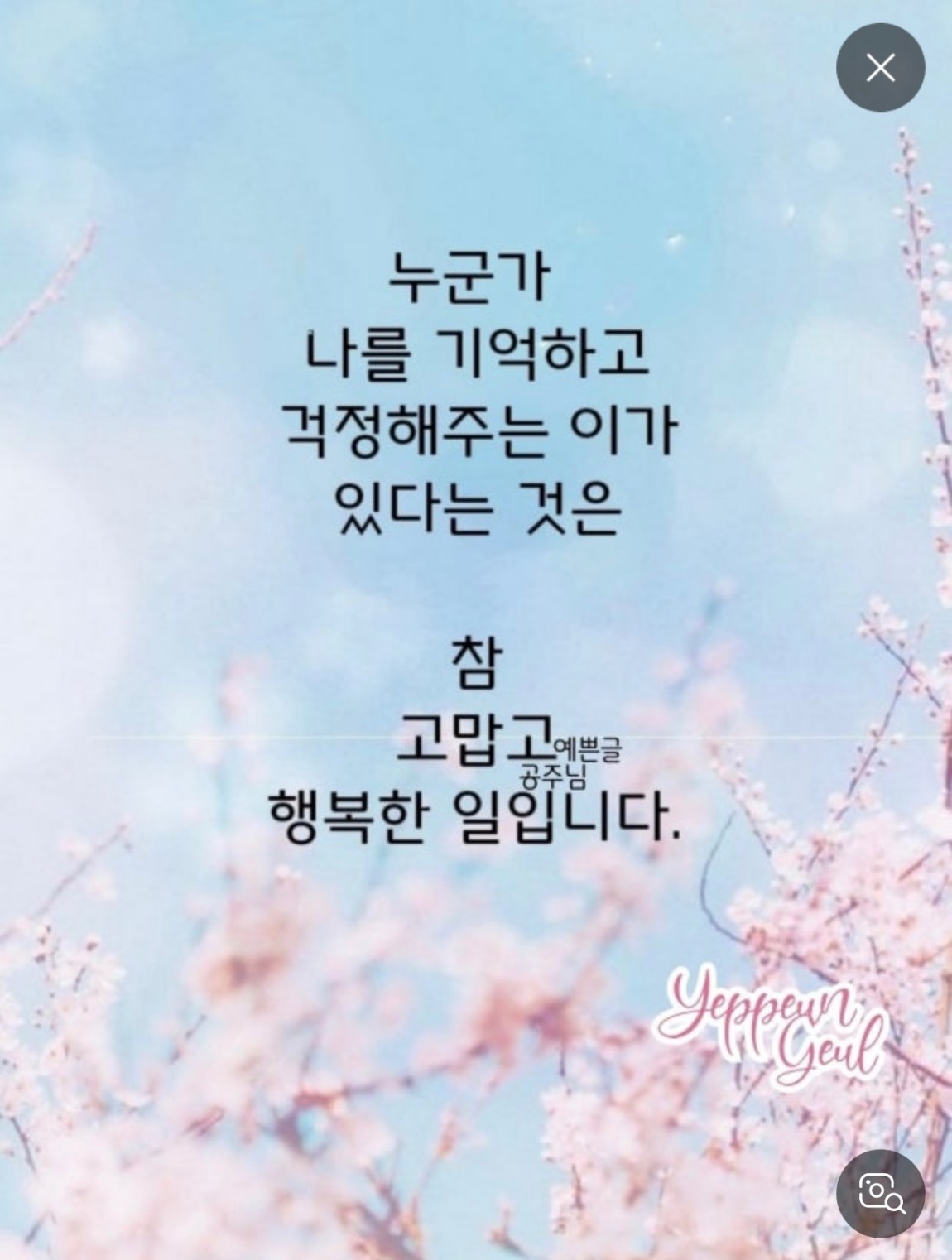 IMG_9937.jpeg