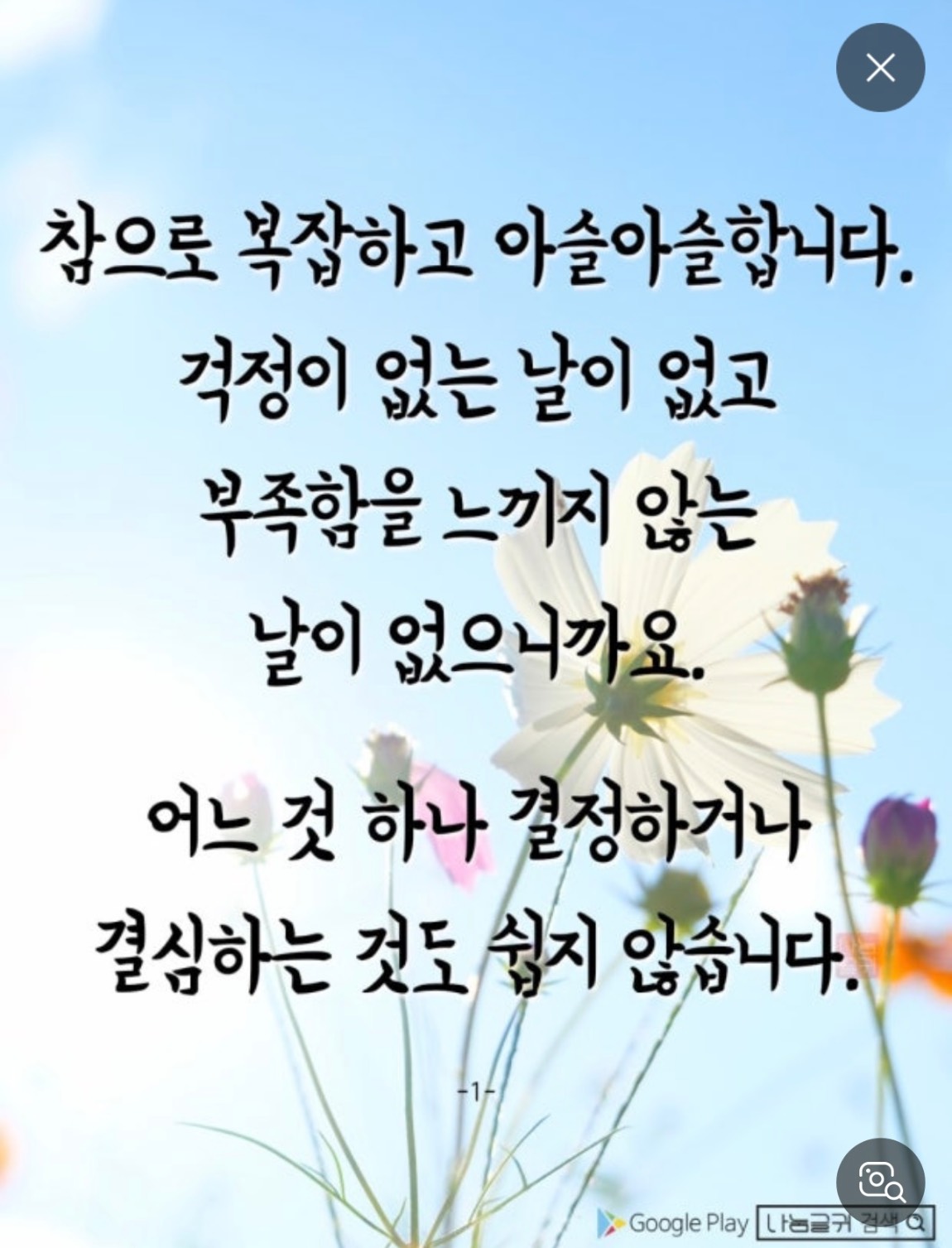 IMG_0058.jpeg