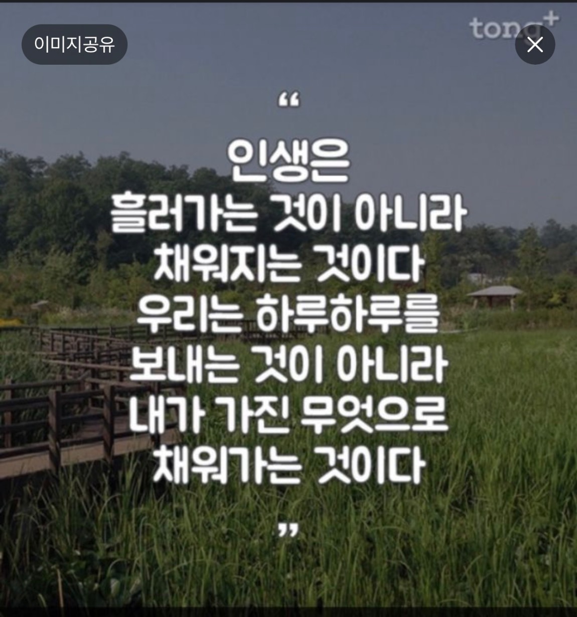 IMG_0102.jpeg