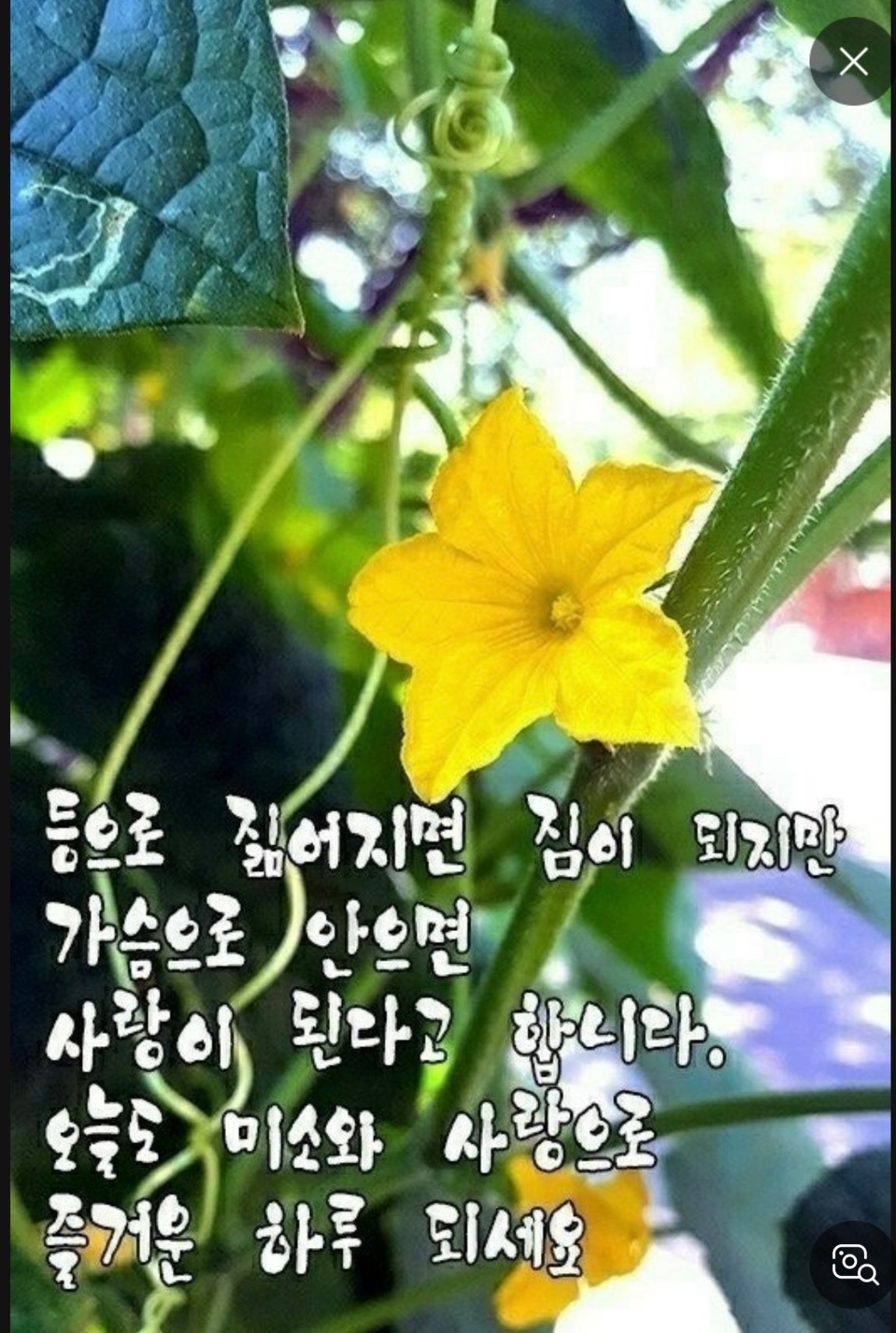 IMG_0252.jpeg