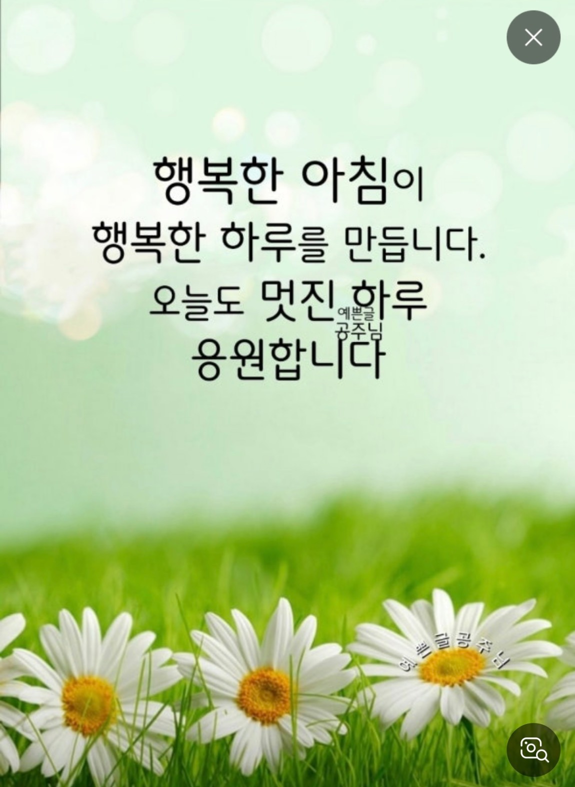 IMG_0347.jpeg