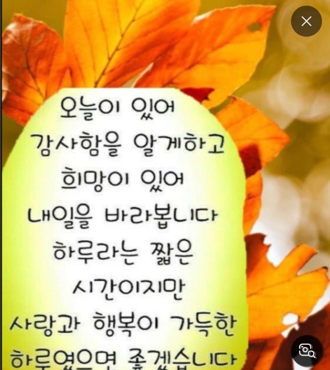 IMG_0359.jpeg