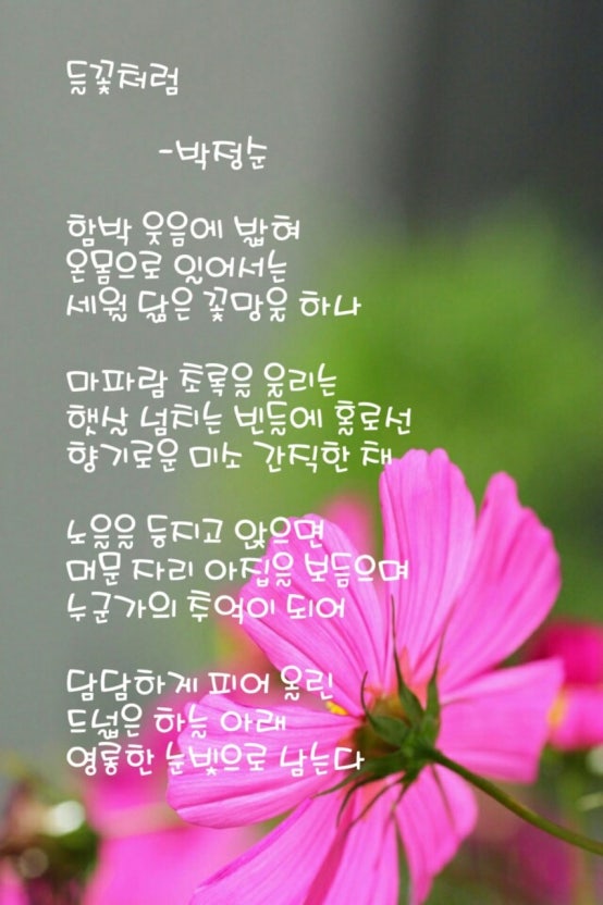 IMG_2437.jpeg
