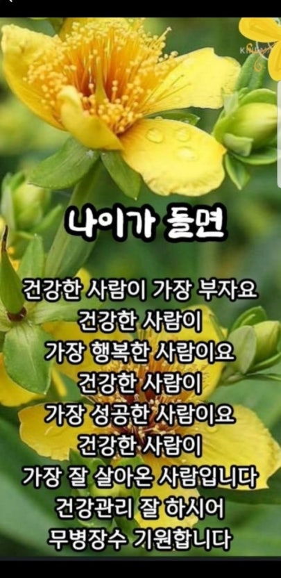 IMG_2574.jpeg