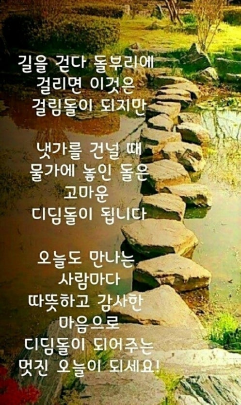IMG_2698.jpeg