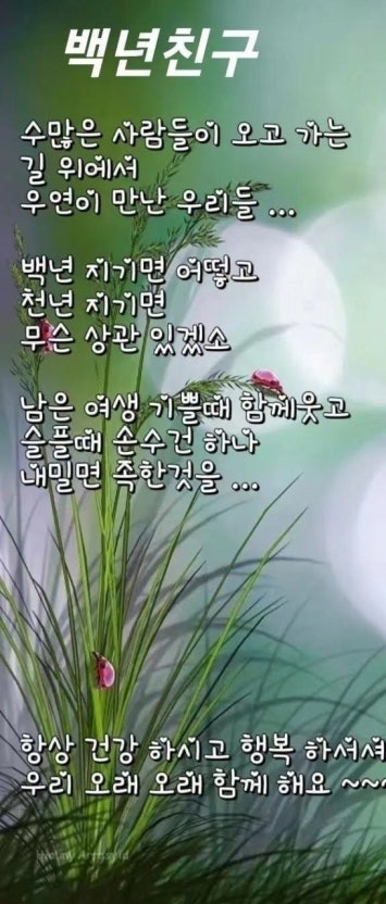 IMG_2704.jpeg